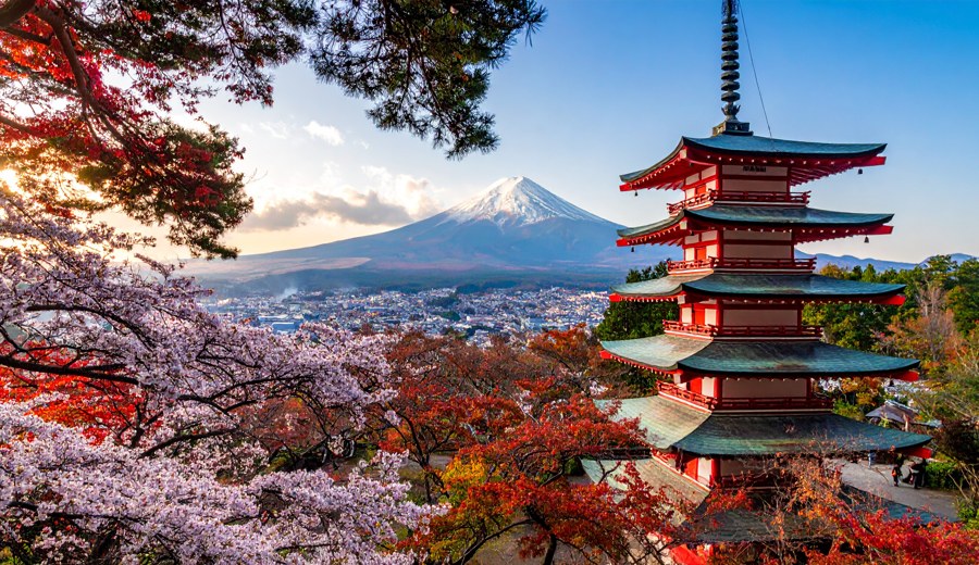 Japón imprescindible con Tokyo Disneyland